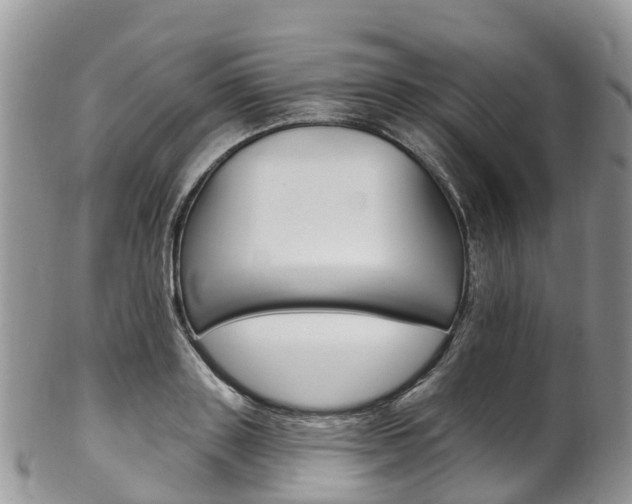 X0000102790843200808180952