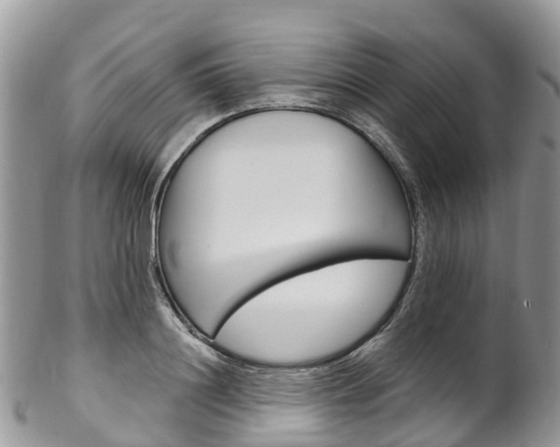 X0000102790844200808180952