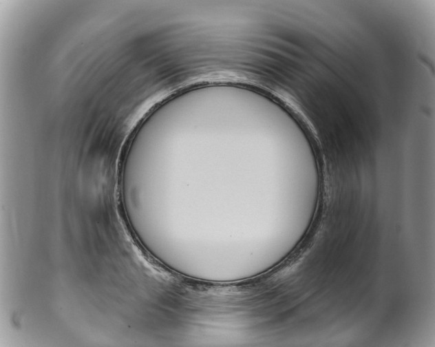 X0000102790845200808180952