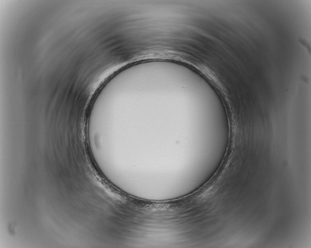 X0000102790846200808180952