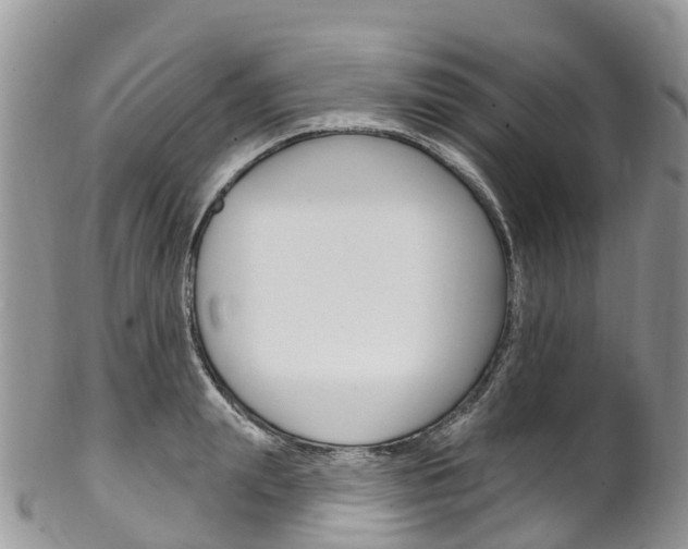 X0000102790847200808180952