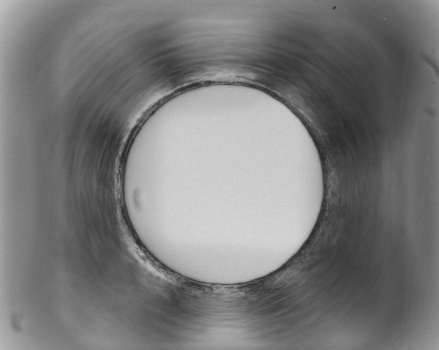 X0000102790848200808180952