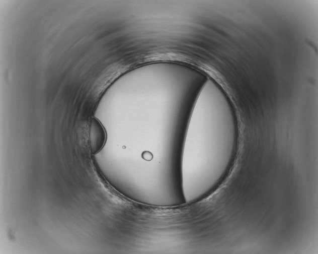 X0000102790849200808180952