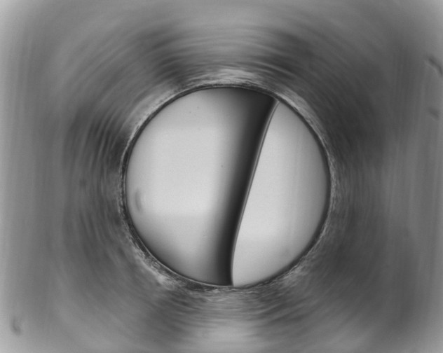 X0000102790850200808180952