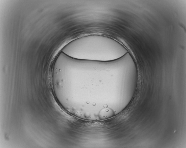 X0000102790851200808180952