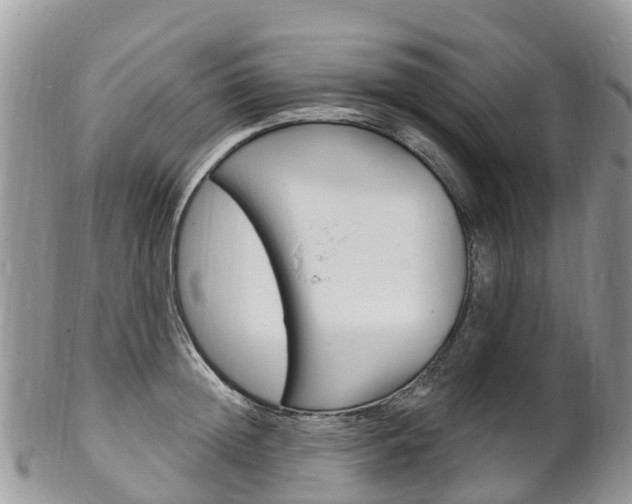 X0000102790852200808180952
