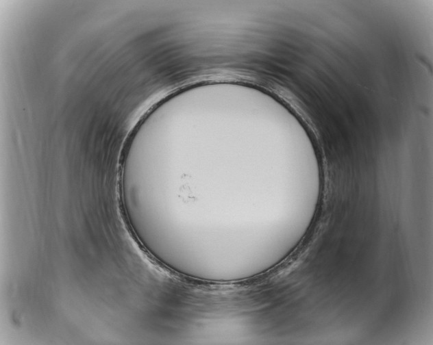 X0000102790853200808180952