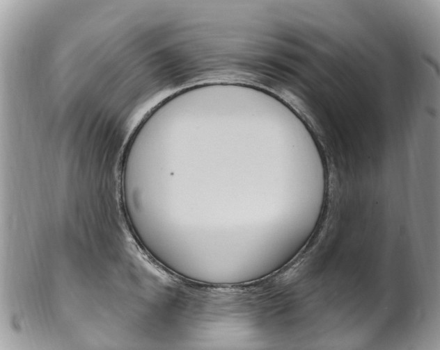 X0000102790854200808180952