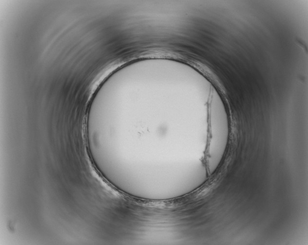 X0000102790855200808180952