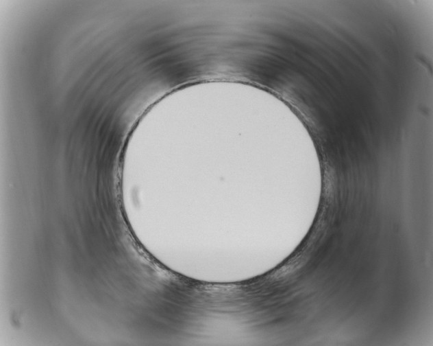 X0000102790856200808180952