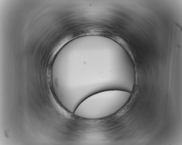 X0000102790859200808180952