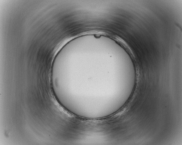 X0000102790860200808180952