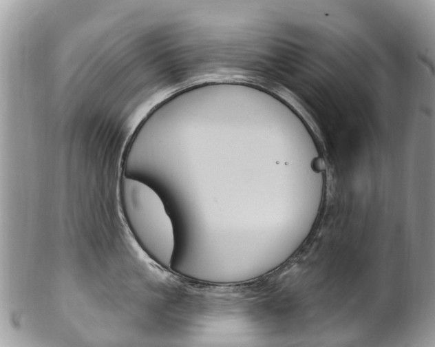 X0000102790861200808180952