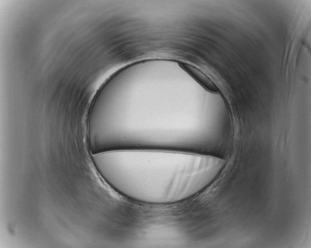 X0000102790862200808180952