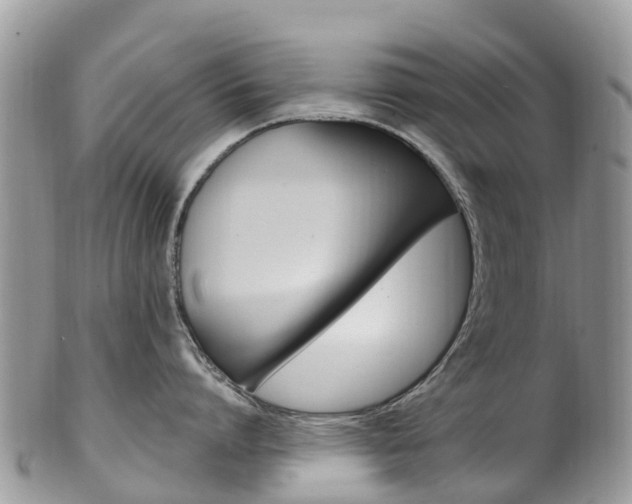 X0000102790864200808180952