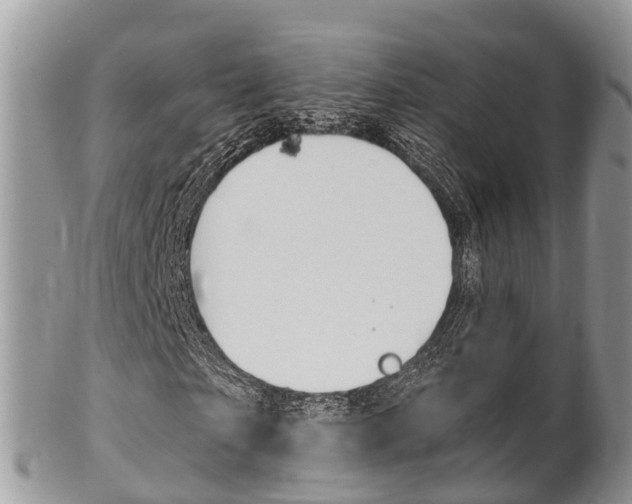 X0000102790865200808180951