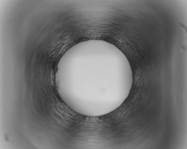 X0000102790866200808180951