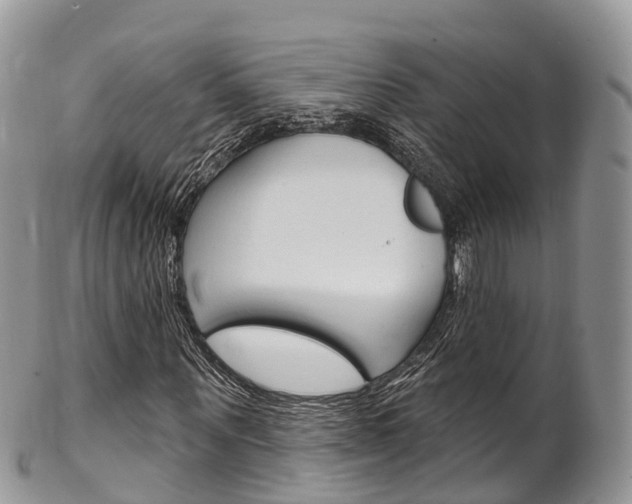 X0000102790867200808180951