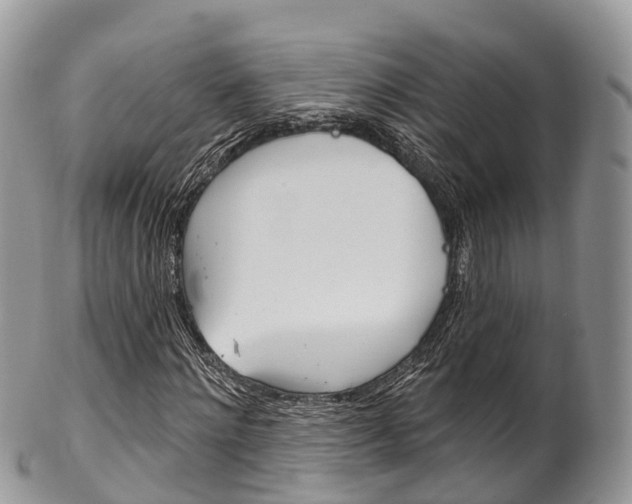 X0000102790868200808180951
