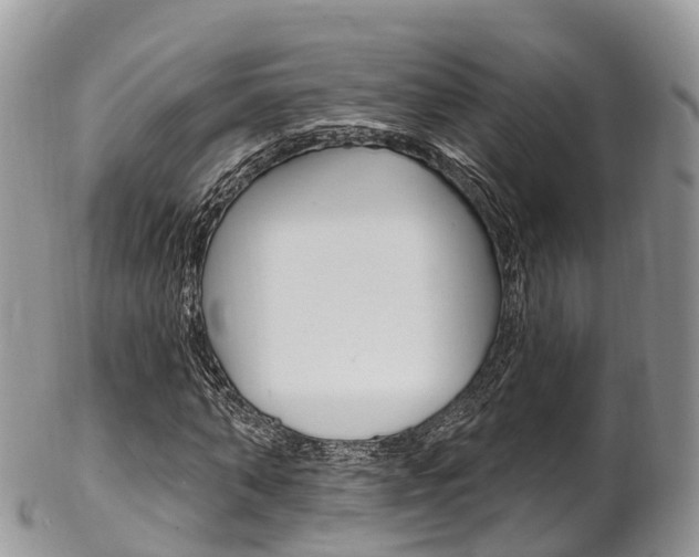 X0000102790870200808180951
