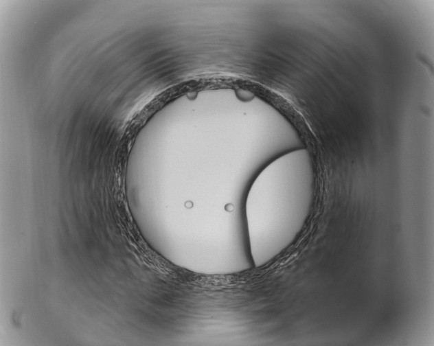 X0000102790871200808180951