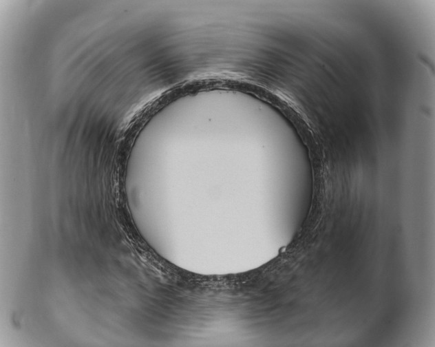X0000102790872200808180951