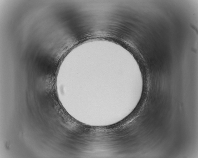 X0000102790873200808180951