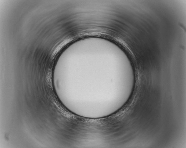 X0000102790874200808180951