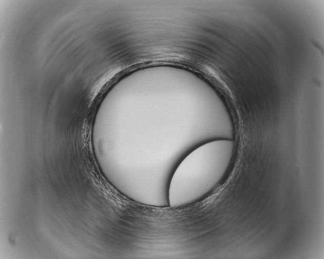 X0000102790875200808180951