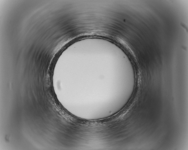 X0000102790876200808180951