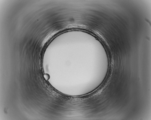 X0000102790877200808180951