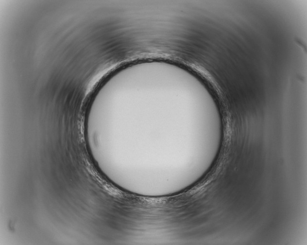 X0000102790878200808180951