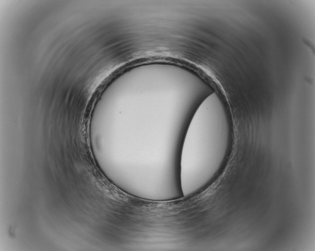 X0000102790879200808180951