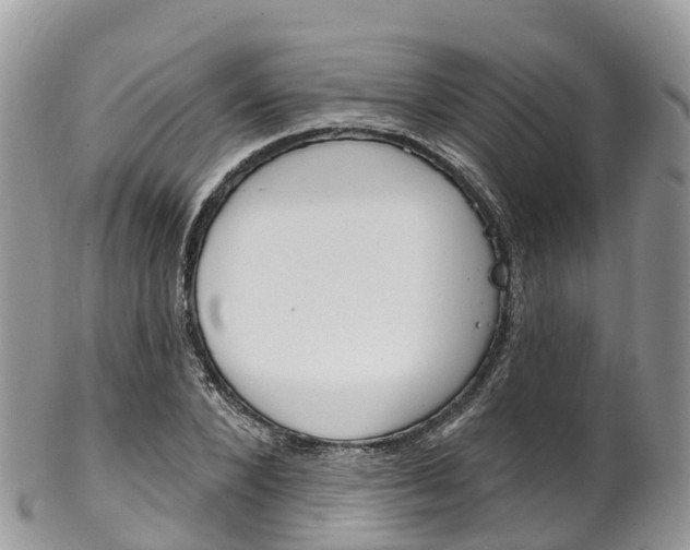 X0000102790880200808180951
