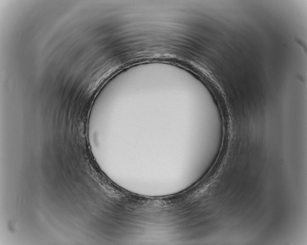X0000102790881200808180951