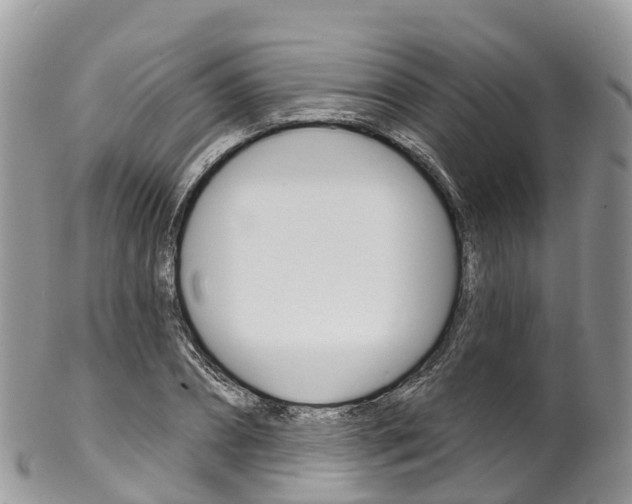 X0000102790882200808180951