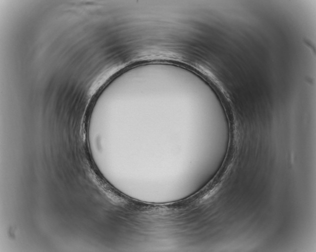 X0000102790885200808180951