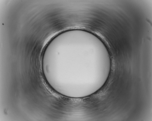 X0000102790886200808180951