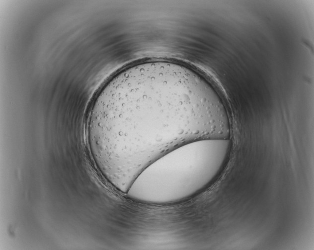 X0000102790887200808180951