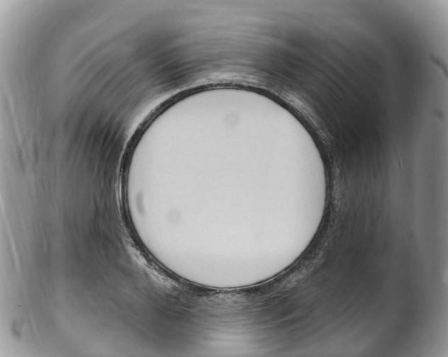 X0000102790888200808180951