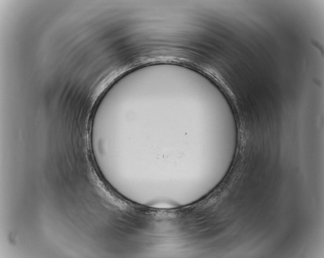 X0000102790890200808180951