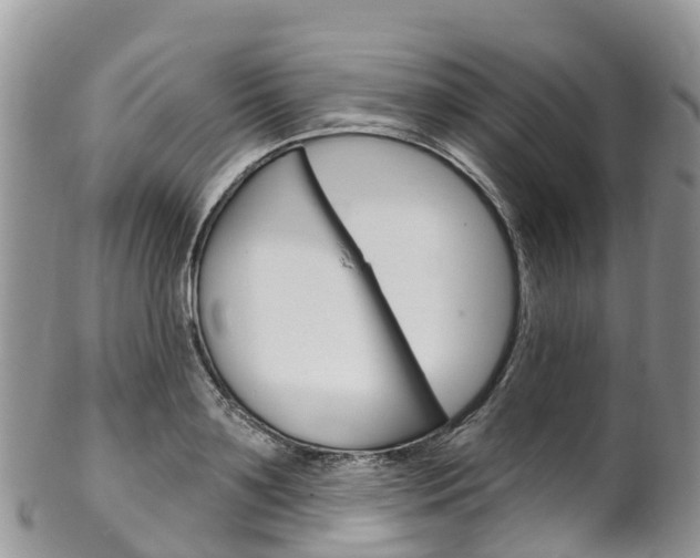 X0000102790891200808180951