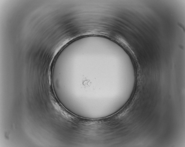 X0000102790892200808180951
