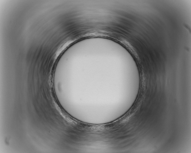 X0000102790893200808180951