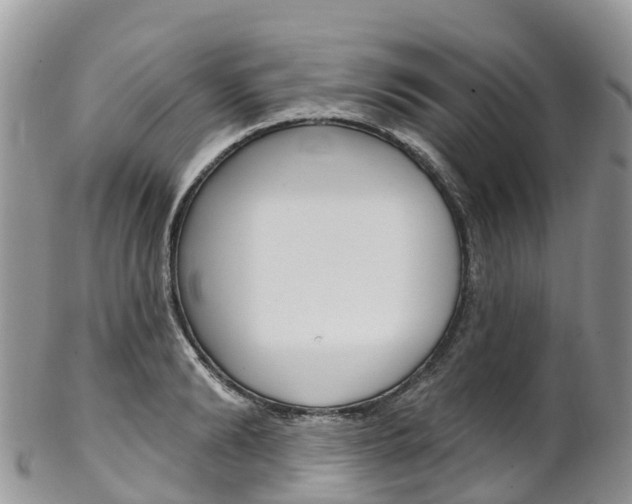 X0000102790894200808180951