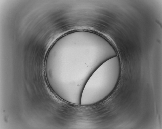 X0000102790895200808180951