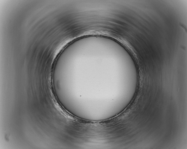 X0000102790896200808180951