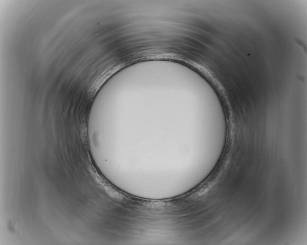 X0000102790897200808180951