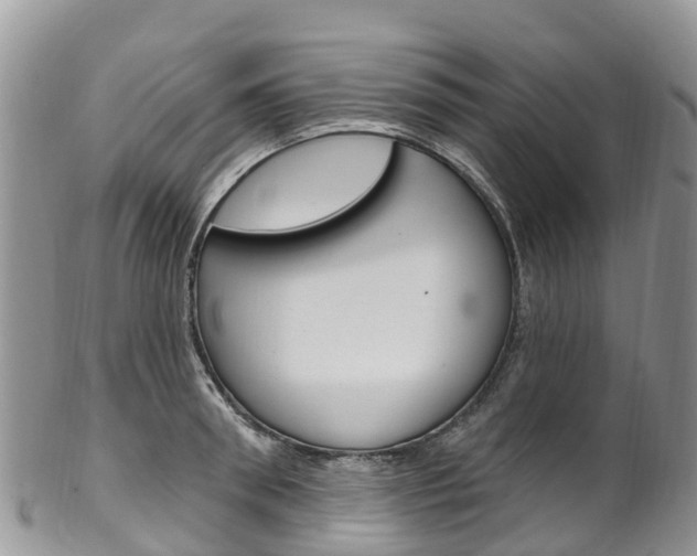 X0000102790898200808180951