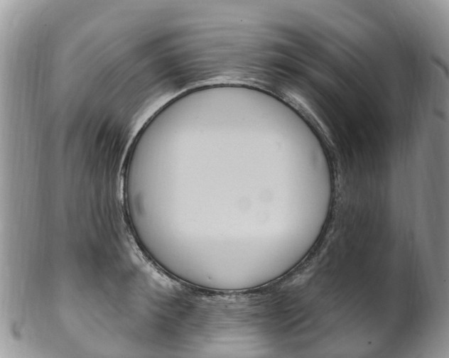 X0000102790900200808180951